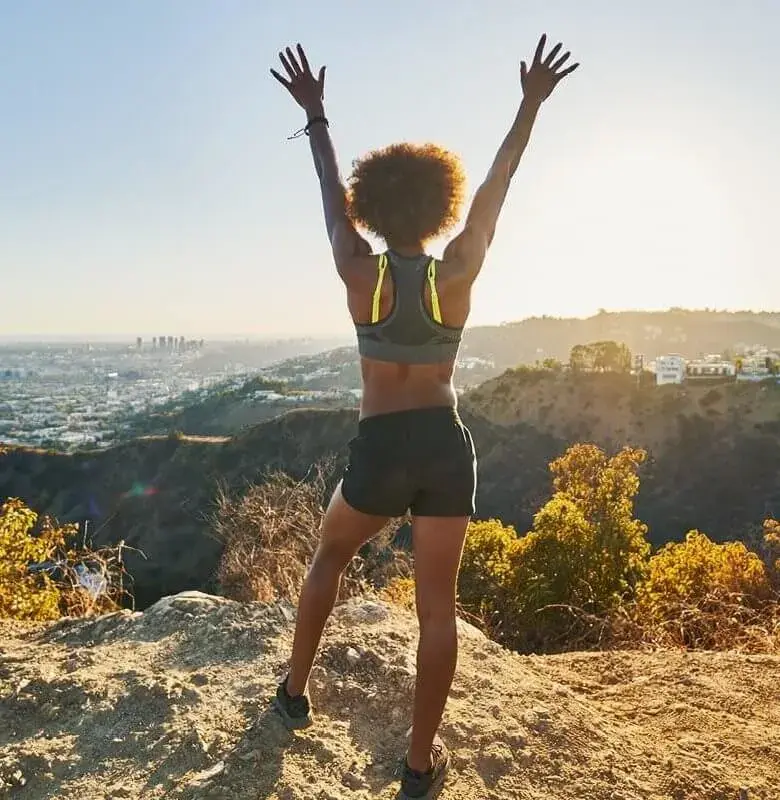 DPDL-rotator4-mobiel